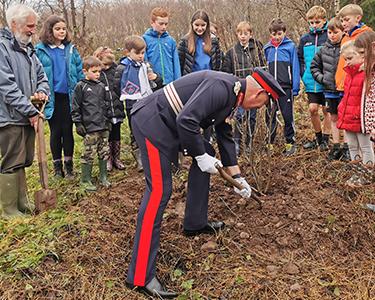 Tree planting 3